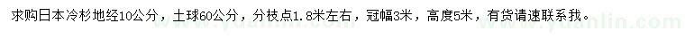 求购地径10公分日本冷杉