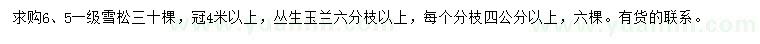 求购冠幅4米以上雪松、丛生玉兰