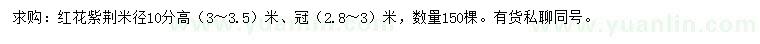 求购米径10公分红花紫荆