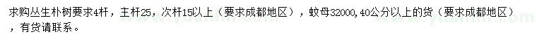 求购4杆丛生朴树、40公分以上蚊母