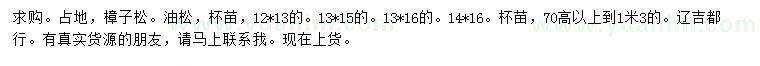 求购高70公分-1.3米樟子松、油松