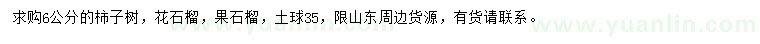 求购柿子树、花石榴、果石榴