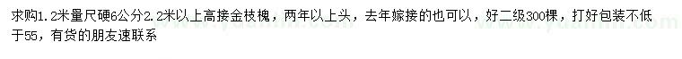 求购1.2米量尺6公分高接金枝槐