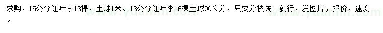 求购13、15公分红叶李