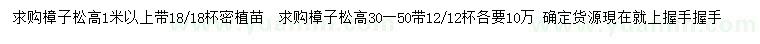 求购高30-50公分、1米以上樟子松