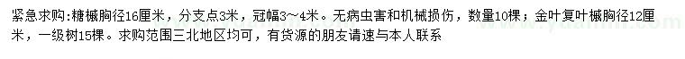 求购胸径16公分糖槭、胸径12公分金叶复叶槭