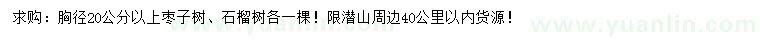 求购胸径20公分以上枣子树、石榴树