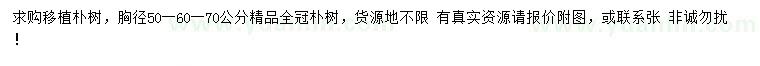 求购胸径50、60、70公分朴树