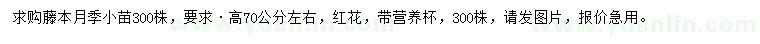 求购高70公分藤本月季