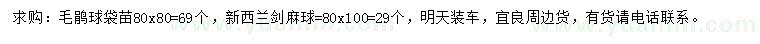 求购毛鹃球、新西兰剑麻球