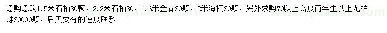 求购石楠、金森、海桐等