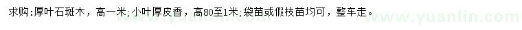 求购高1米厚叶石斑木、高0.8-1米小叶厚皮香