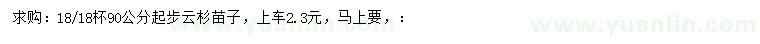 求购90公分起步云杉