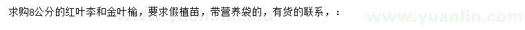 求购8公分红叶李、金叶榆