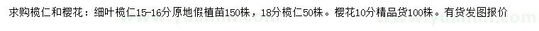 求购榄仁、樱花、细叶榄仁