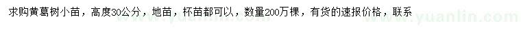 求购高30公分黄葛树