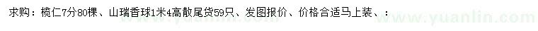 求购榄仁、高1.4米山瑞香球