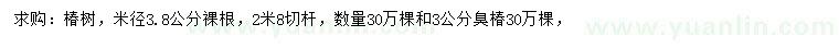 求购米径3.8公分椿树、3公分臭椿