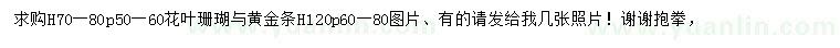 求购高70-80公分花叶珊瑚、高120公分黄金条