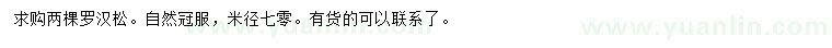 求购米径70公分罗汉松