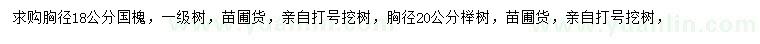 求购胸径18公分国槐、胸径20公分榉树