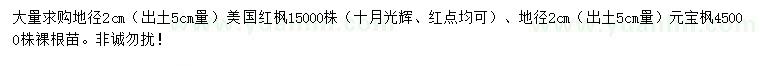 求购地径2公分美国红枫、元宝枫