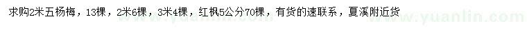 求购2.5、2.6、3米杨梅、5公分红枫