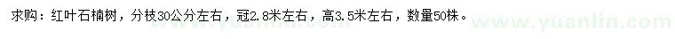 求购冠2.8米左右红叶石楠