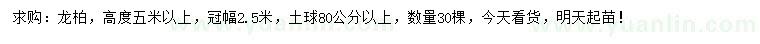 求购高5米以上龙柏