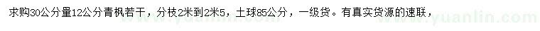 求购30公分量12公分青枫