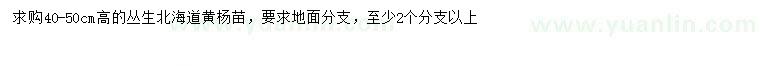 求购高40-50公分丛生北海道黄杨