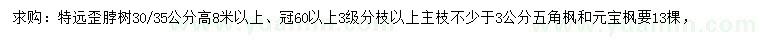 求购30、35公分五角枫、元宝枫