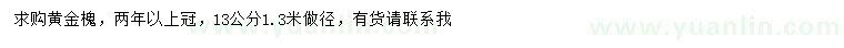 求购1.3米量13公分黄金槐