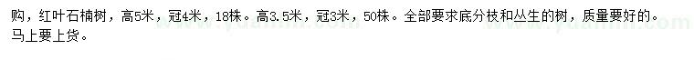 求购高3.5、5米红叶石楠