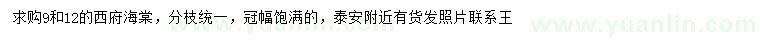 求购9、12公分西府海棠