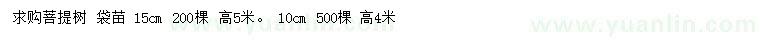 求购10、15公分菩提树