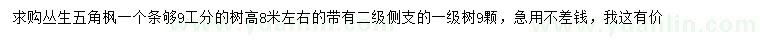 求购高8米左右丛生五角枫