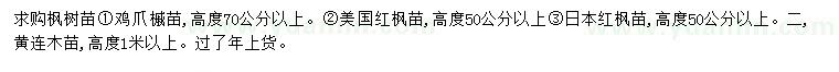 求购鸡爪槭、美国红枫、日本红枫等