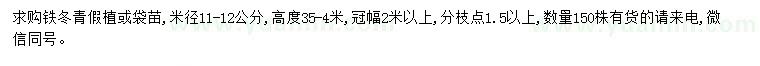 求购米径11-12公分铁冬青