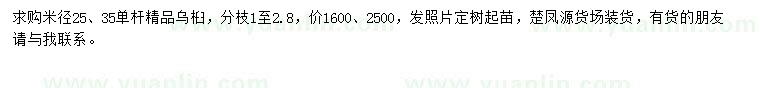 求购米径25、35公分乌桕