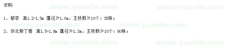 求购高1.2-1.5米郁李、高1.5-1.8米丁香