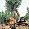 常青挖树机 挖树机 起树机 移树机 拔树机