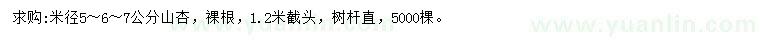 求购米径5、6、7公分山杏