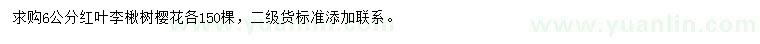 求购红叶李、楸树、樱花