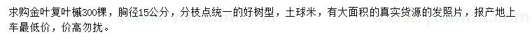 求购胸径15公分金叶复叶槭