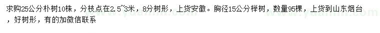 求购25公分朴树、胸径15公分榉树