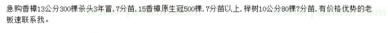 求购13、15公分香樟、10公分榉树