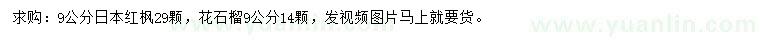 求购9公分日本红枫、花石榴