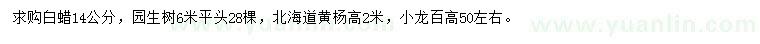 求购白蜡、北海道黄杨、龙柏等