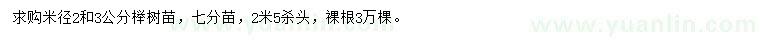 求购米径2、3公分榉树